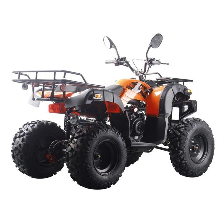 250cc atv quad (4)