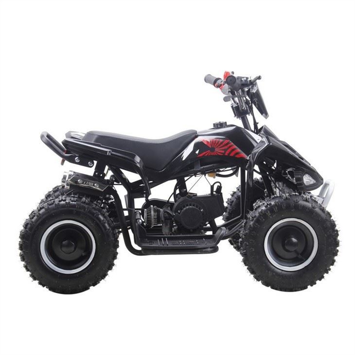 49cc quad (1)