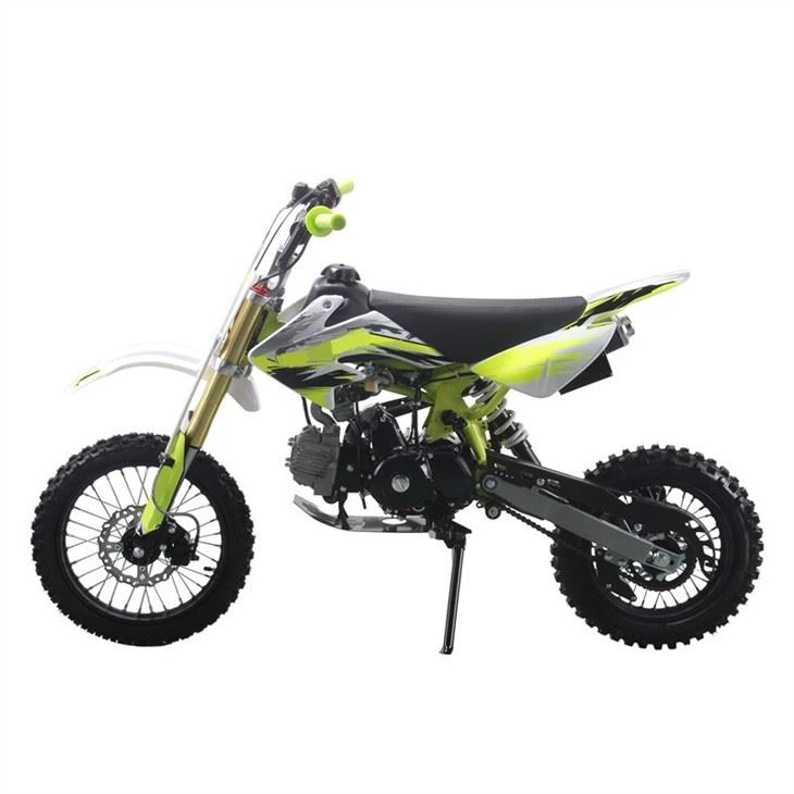 110cc dirt bike 1