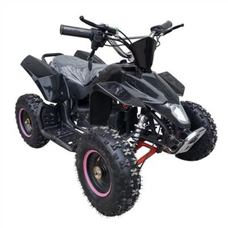 1000w Electric Quad Bike for Kids