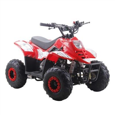 110cc Automatic ATV Quad for Kids