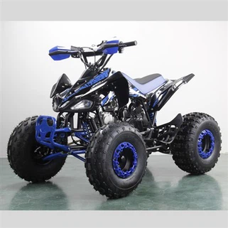 110cc Automatic ATV Quad Bike